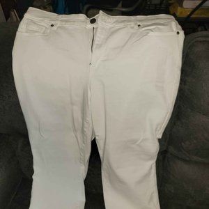 Lane Bryant White Pedal Capri Pants New With Tags